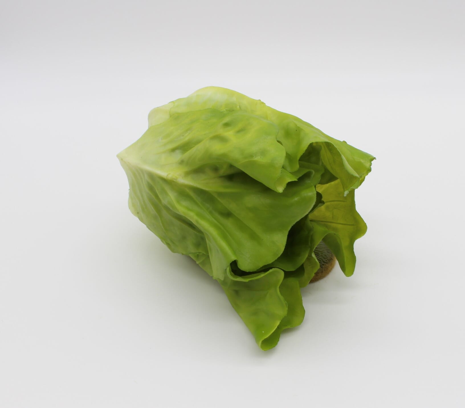 Small Head of Fake Romaine Lettuce - Green