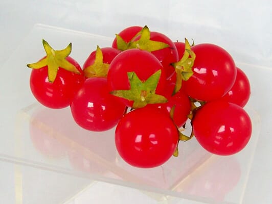 Fake Cherry Tomatoes (Set of 12)